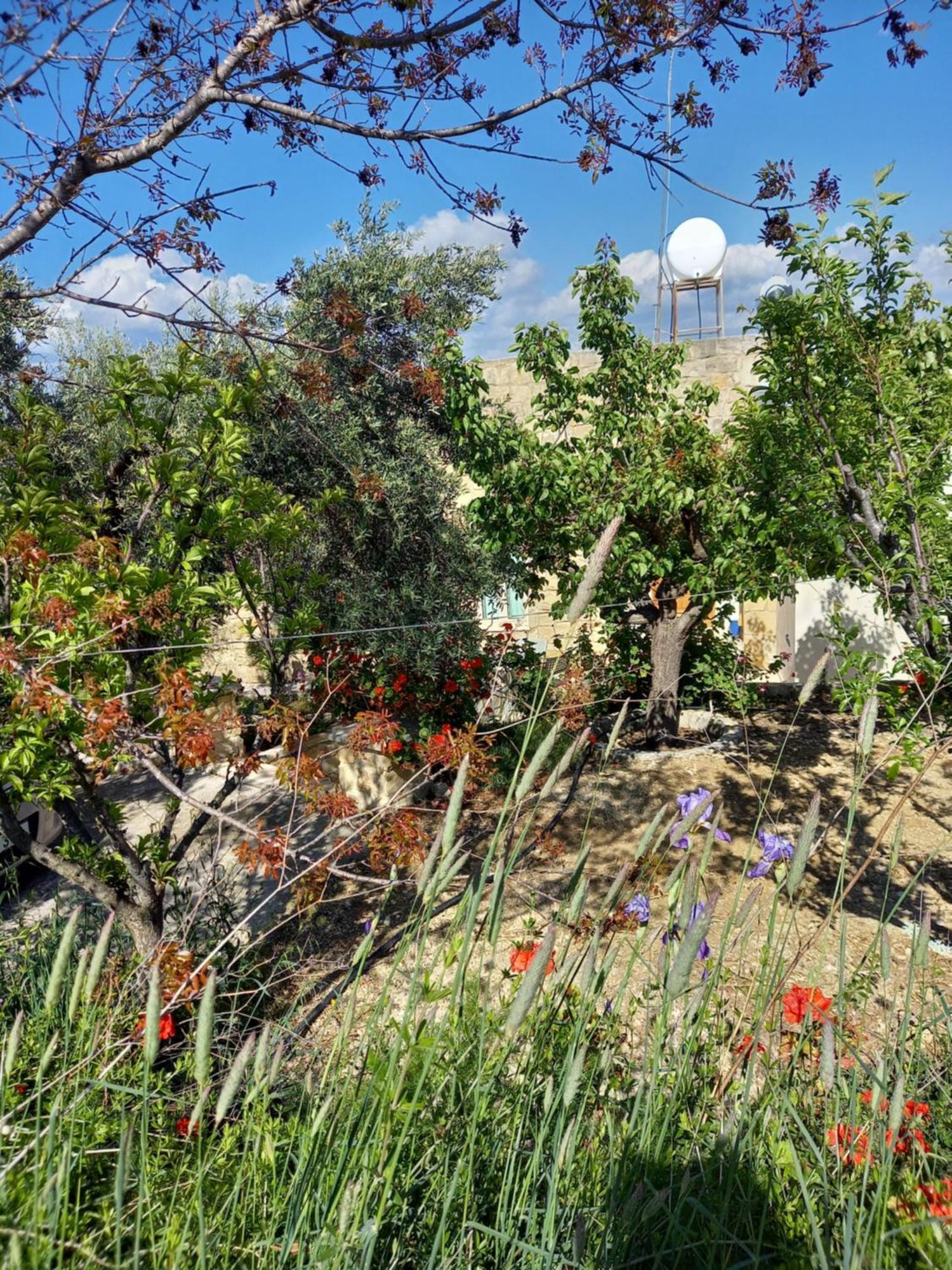 Villa Koumneni Pano Akourdalia Exteriér fotografie