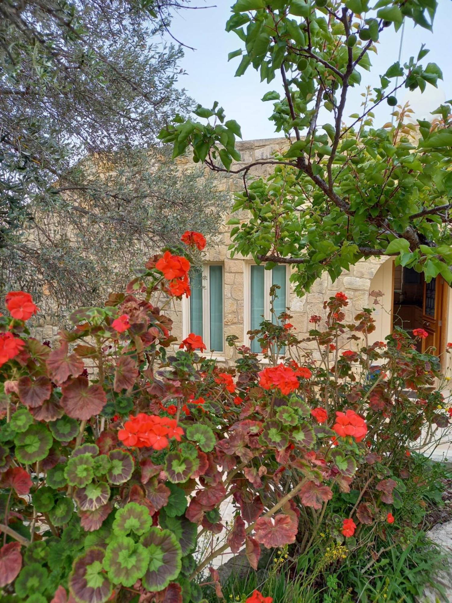 Villa Koumneni Pano Akourdalia Exteriér fotografie