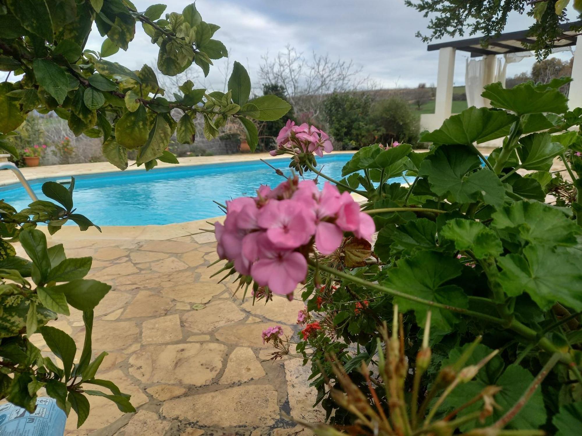 Villa Koumneni Pano Akourdalia Exteriér fotografie