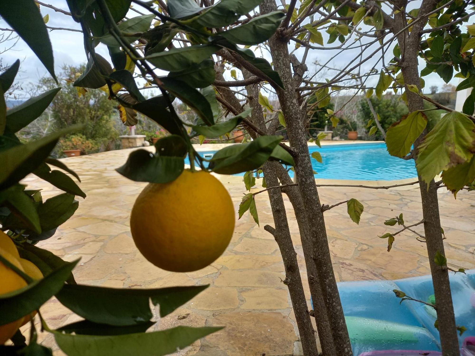 Villa Koumneni Pano Akourdalia Exteriér fotografie
